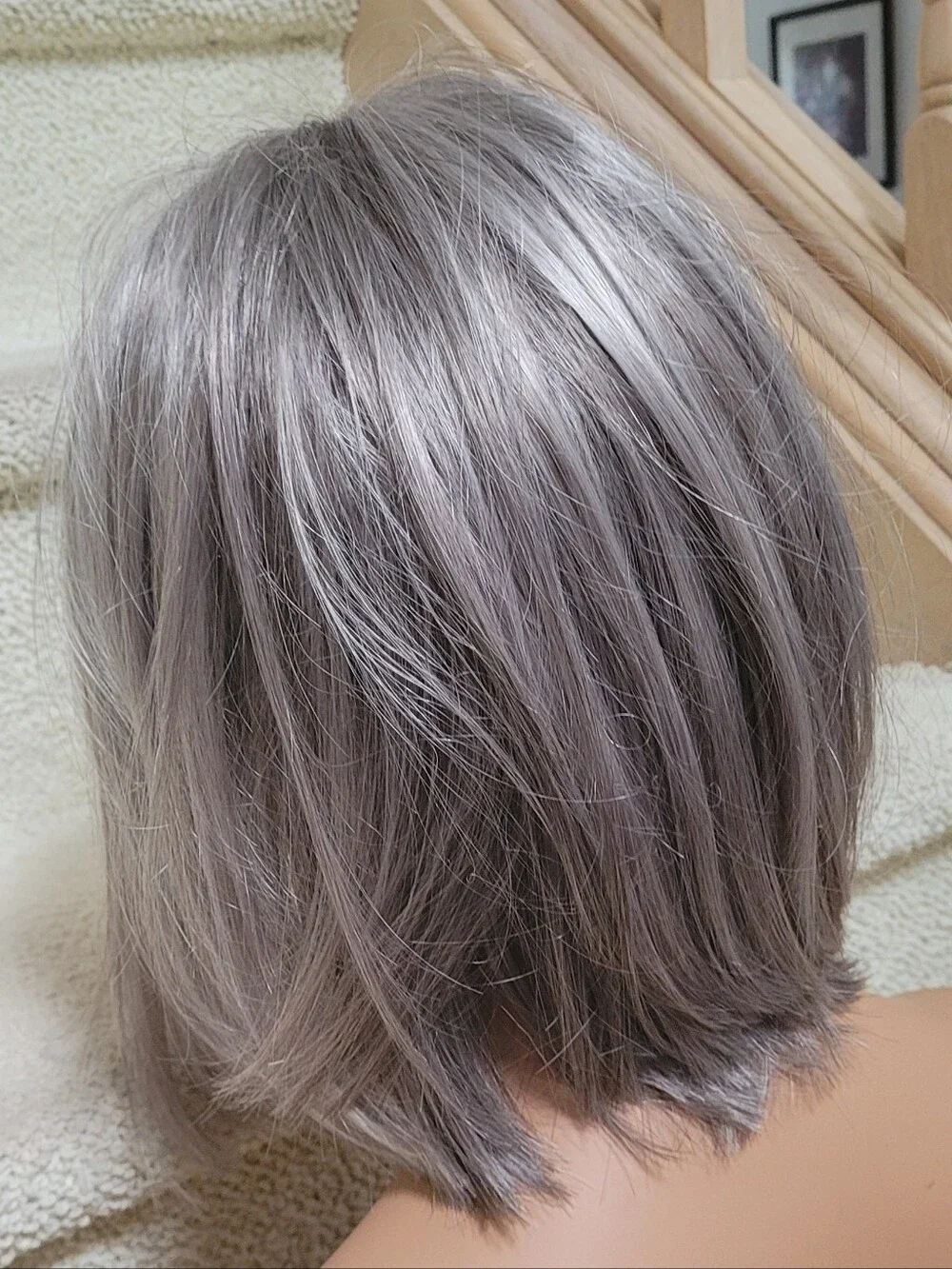 Silver Short Layered Wig with Bangs - Women Hair Smoke & Pet Free Home
